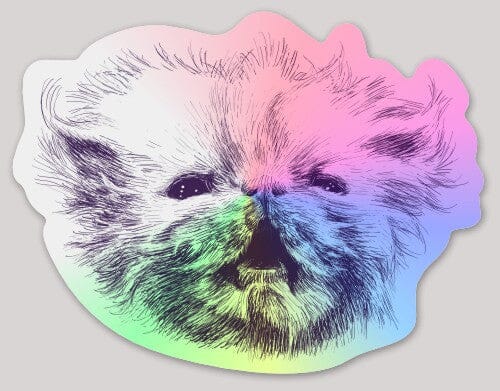 Angry Wisp Holographic Sticker ($1 donated to Rags to Riches Animal Rescue per sticker sold) Decorative Stickers JoyousJoyfulJoyness