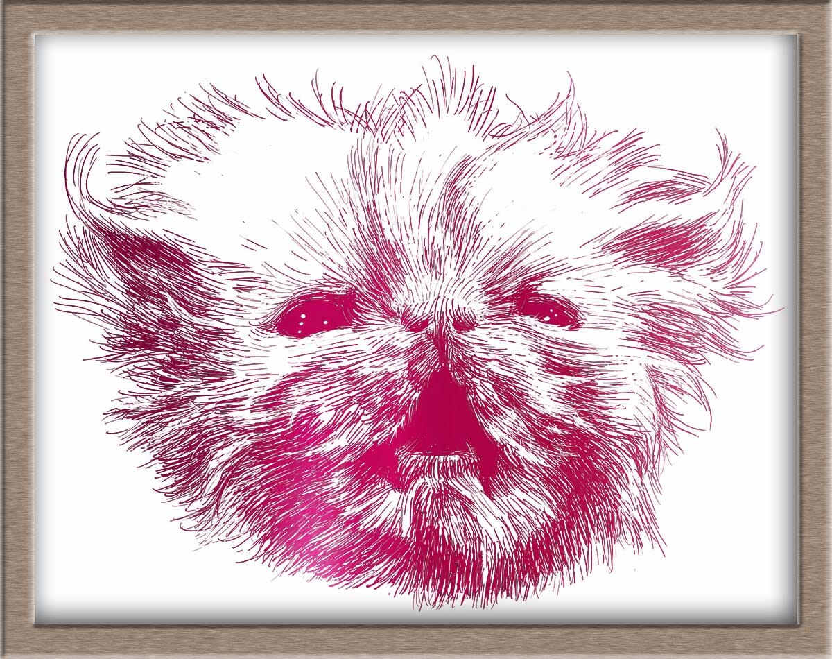 Angry Wisp Foiled Print (50% of Sale Donated to Rags to Riches Animal Rescue Inc.) Posters, Prints, & Visual Artwork JoyousJoyfulJoyness