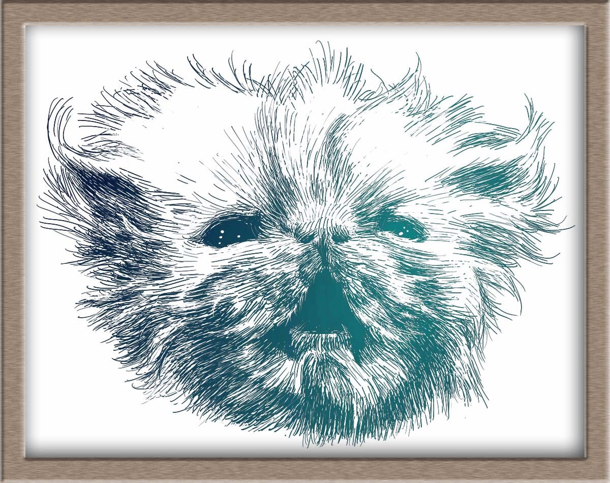 Angry Wisp Foiled Print (50% of Sale Donated to Rags to Riches Animal Rescue Inc.) Posters, Prints, & Visual Artwork JoyousJoyfulJoyness