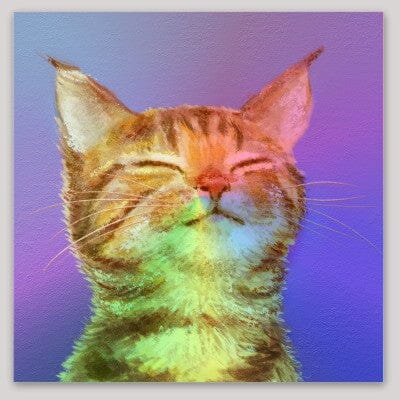Content Kitty Holographic Sticker Decorative Stickers JoyousJoyfulJoyness