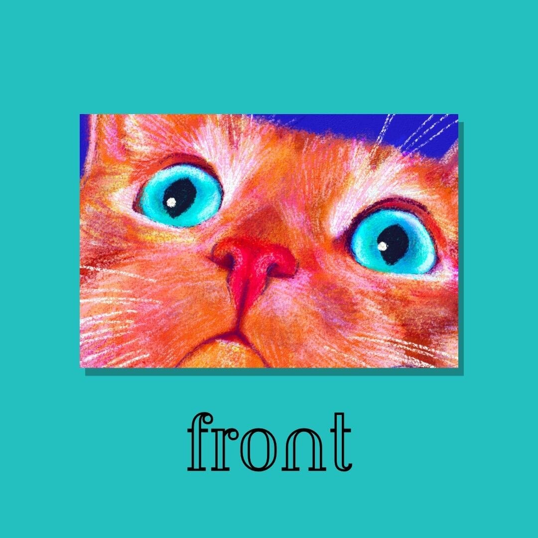 Close Encounters Collection - "No Thoughts" Postcard - Postcard with a Ginger Cat with a Blank Stare (Limited Quantities) Postcards JoyousJoyfulJoyness