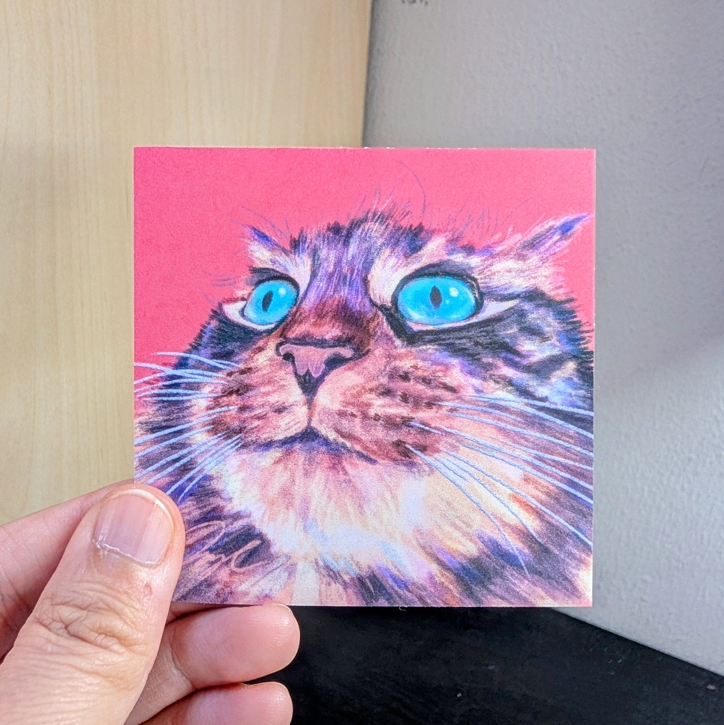Close Encounters Collection - "Teal Eyes" Non-Holographic Matte Sticker - Close Up of a Cat with Teal Eyes Decorative Stickers JoyousJoyfulJoyness