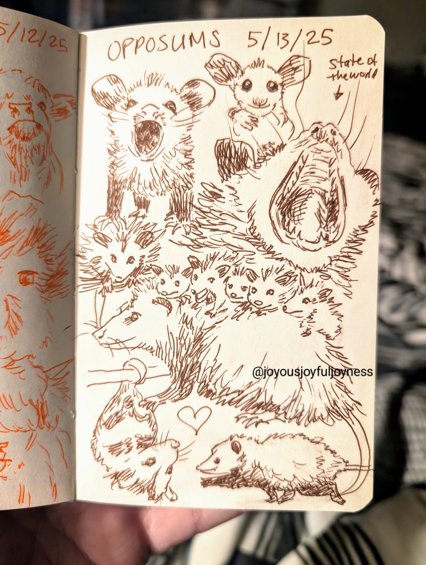 Detox Doodles Print - Opossums - 5x7 Hand-Drawn Illustration Posters, Prints, & Visual Artwork JoyousJoyfulJoyness