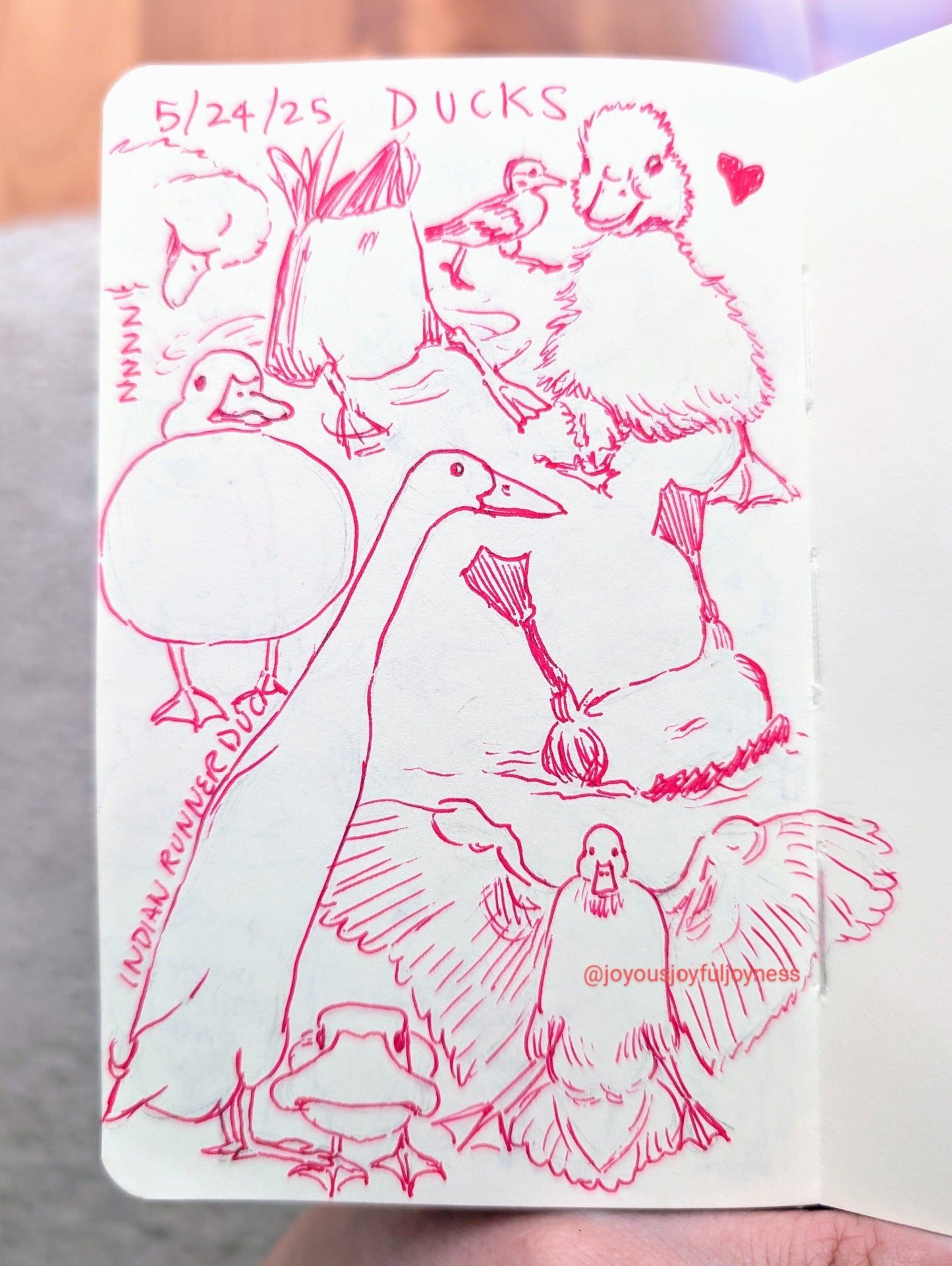 Detox Doodles Print - Ducks - 5x7 Hand-Drawn Illustration Posters, Prints, & Visual Artwork JoyousJoyfulJoyness