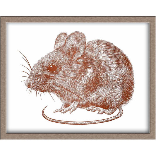 Rat/Mouse Foiled Print Posters, Prints, & Visual Artwork JoyousJoyfulJoyness