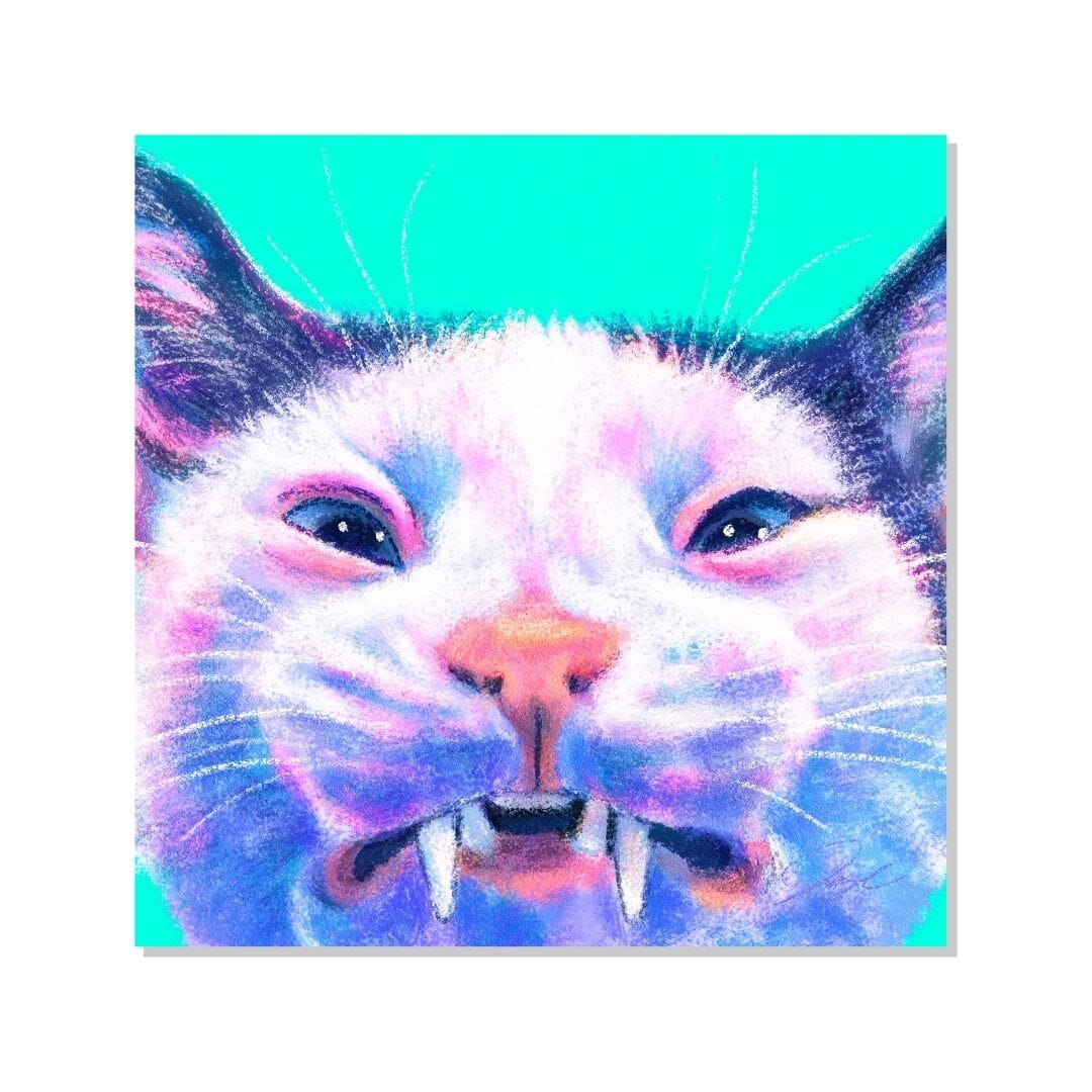 Close Encounters Collection - "Scrungle" Non-Holographic Matte Sticker - Close up of a Cat Grimacing Decorative Stickers JoyousJoyfulJoyness