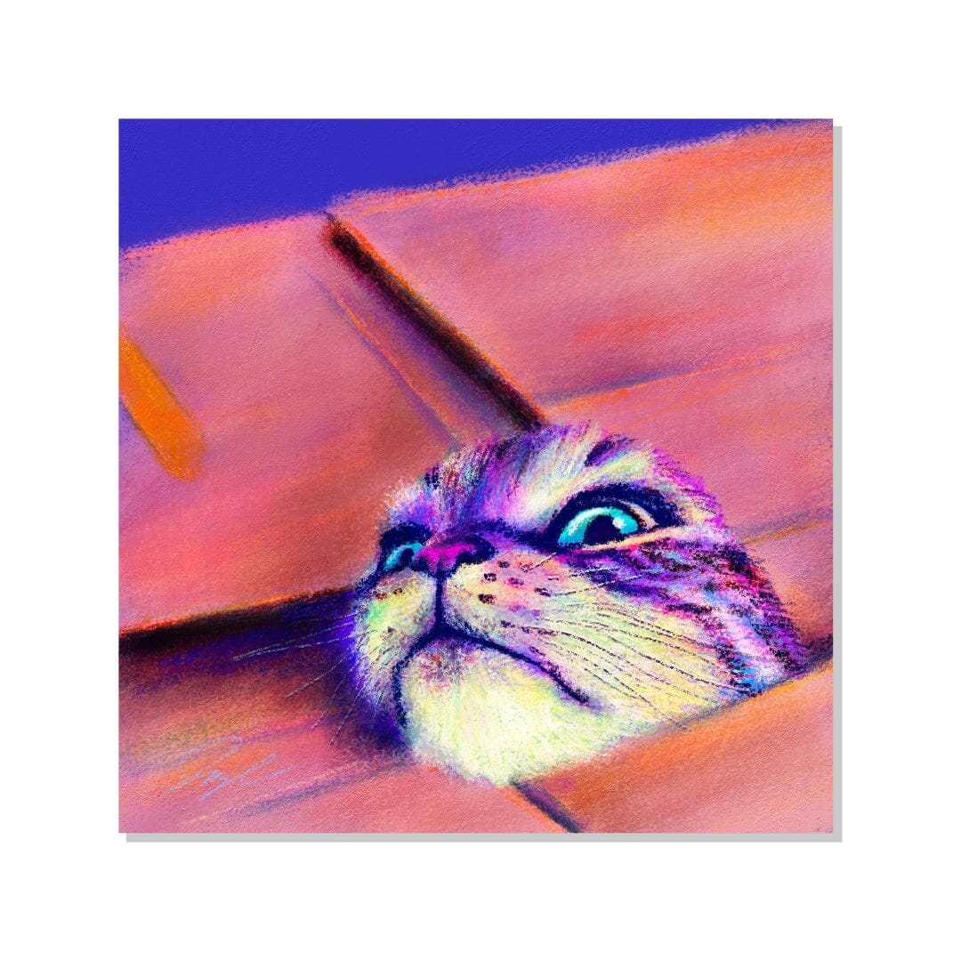 Close Encounters Collection - "If I Fits" Non-Holographic Matte Sticker - Close Up of a Cat in a Box Decorative Stickers JoyousJoyfulJoyness