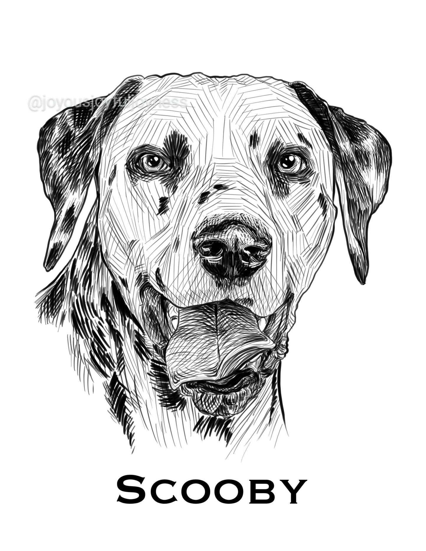 Portfolio: Scooby (Not for sale) Posters, Prints, & Visual Artwork JoyousJoyfulJoyness