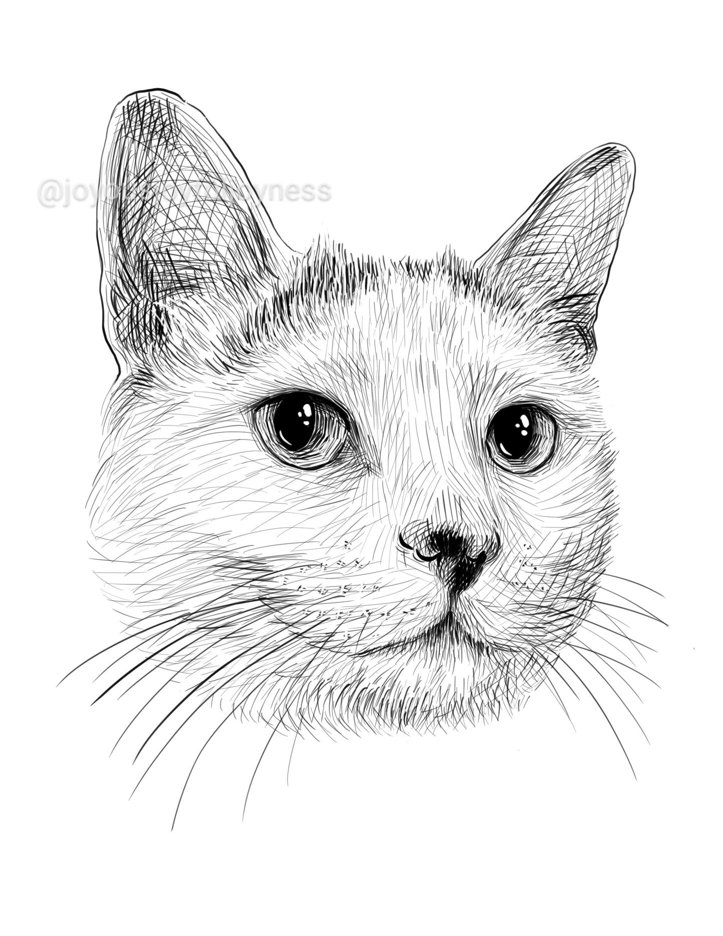 Portfolio: Hazel (Not for sale) Posters, Prints, & Visual Artwork JoyousJoyfulJoyness