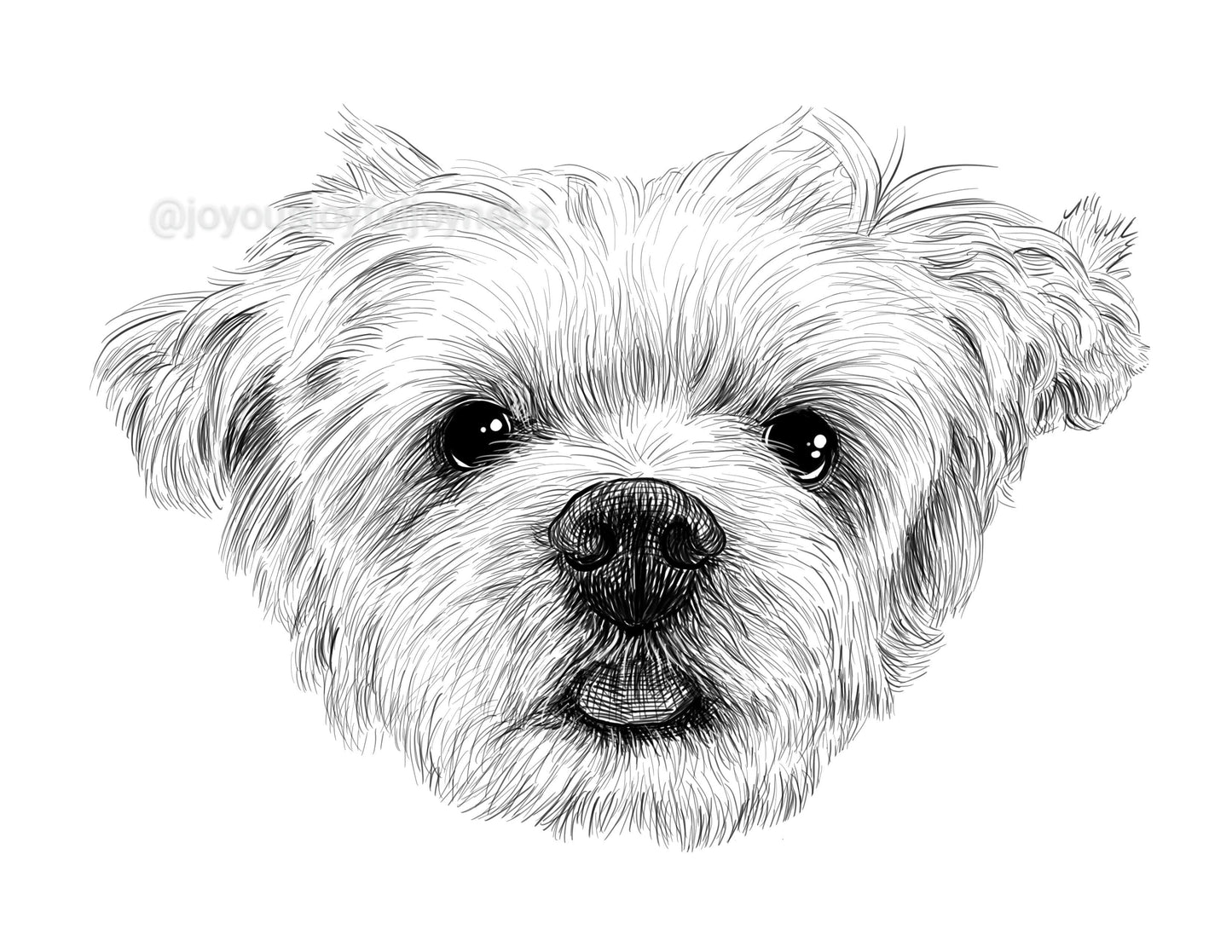 Portfolio: Mung (Not for sale) Posters, Prints, & Visual Artwork JoyousJoyfulJoyness