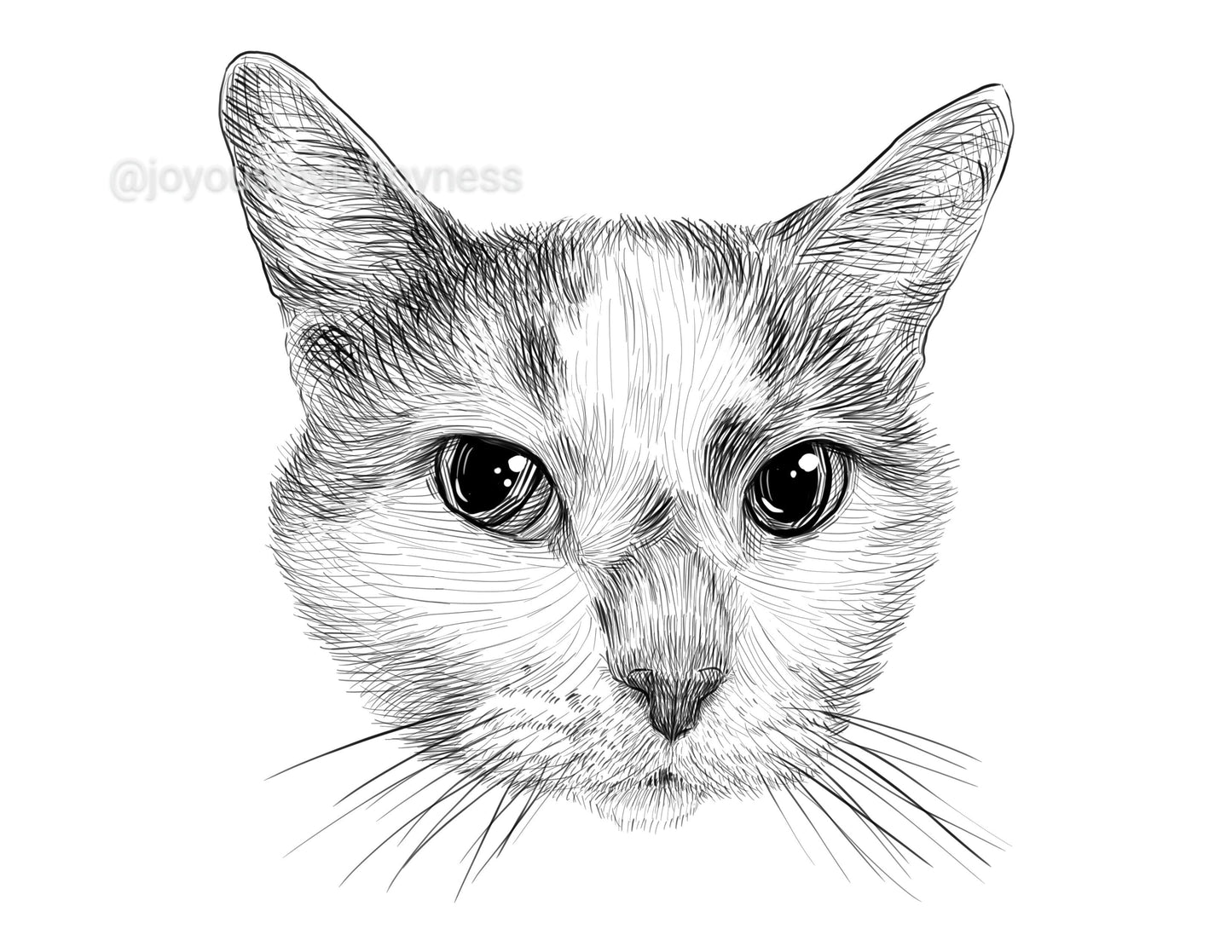 Portfolio: Jethro (Not for sale) Posters, Prints, & Visual Artwork JoyousJoyfulJoyness