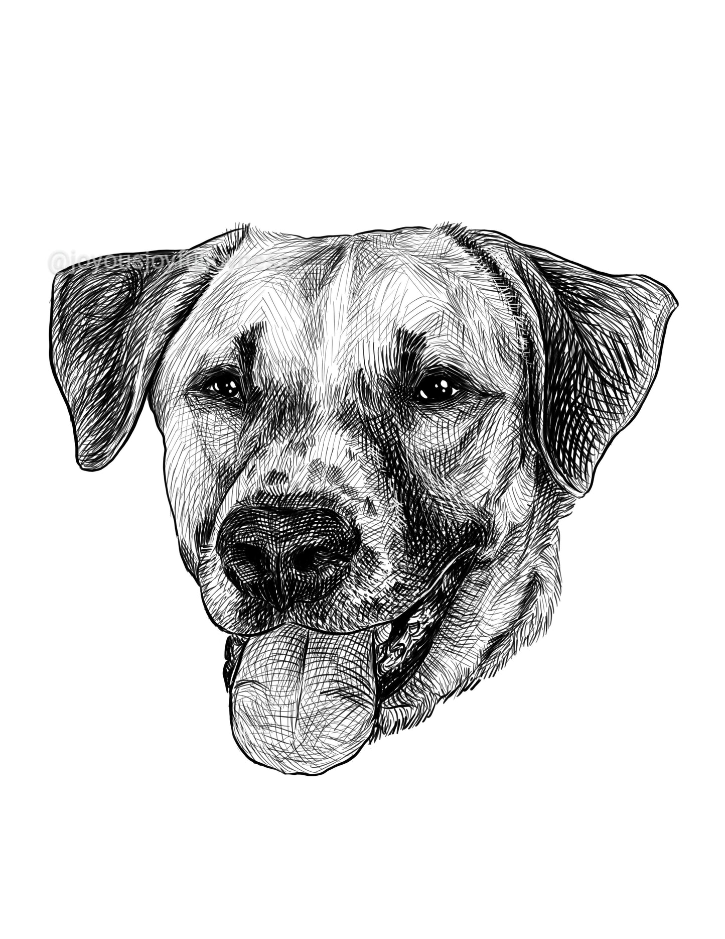 Portfolio: Koda (Not for sale) Posters, Prints, & Visual Artwork JoyousJoyfulJoyness