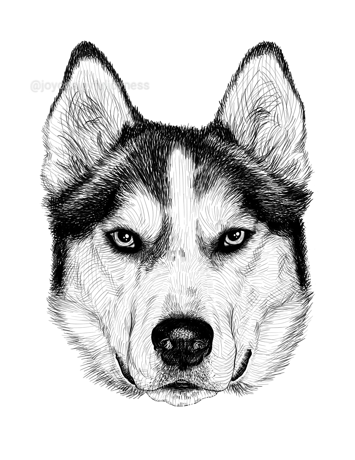 Portfolio: Balto as a puppy (Not for sale) Posters, Prints, & Visual Artwork JoyousJoyfulJoyness