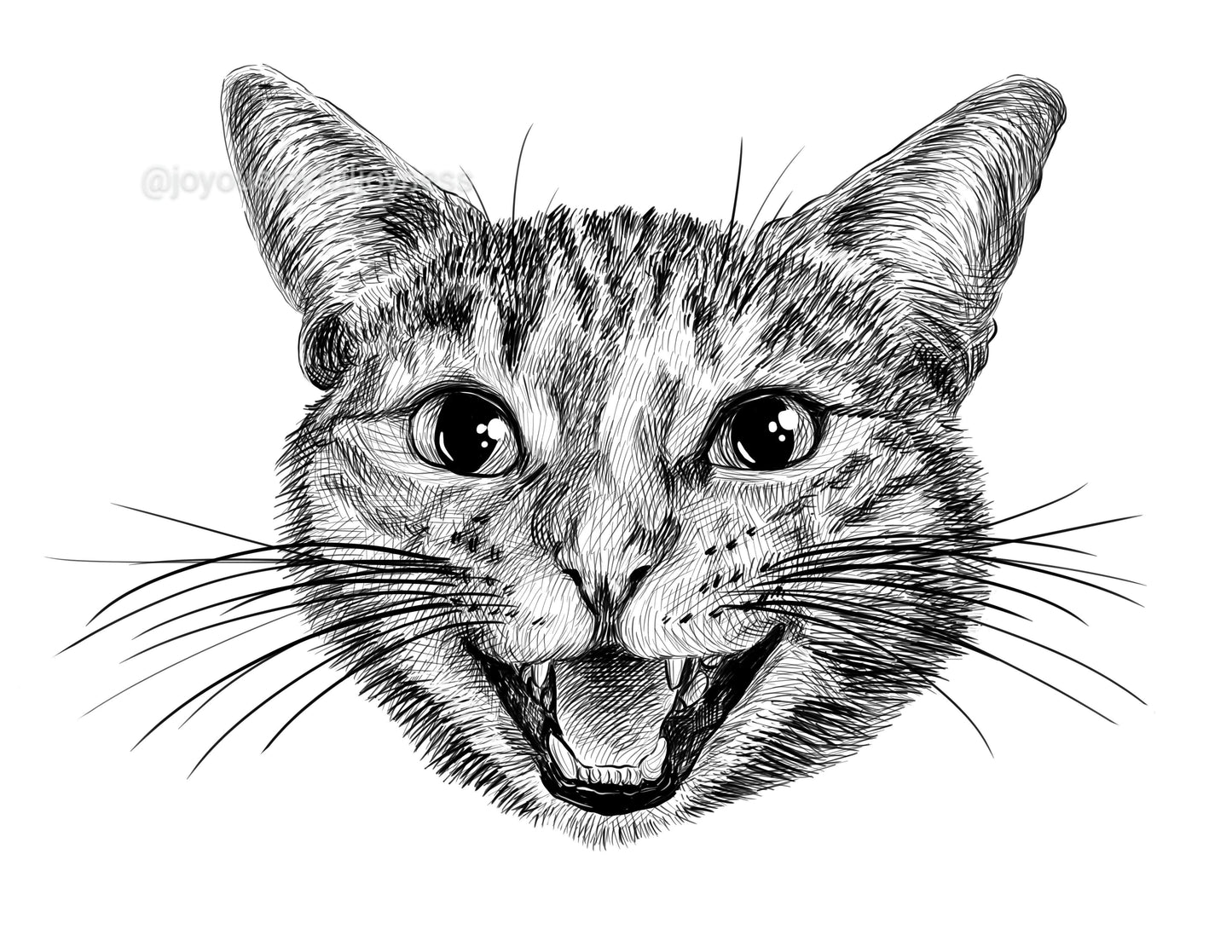 Portfolio: Data (Not for sale) Posters, Prints, & Visual Artwork JoyousJoyfulJoyness