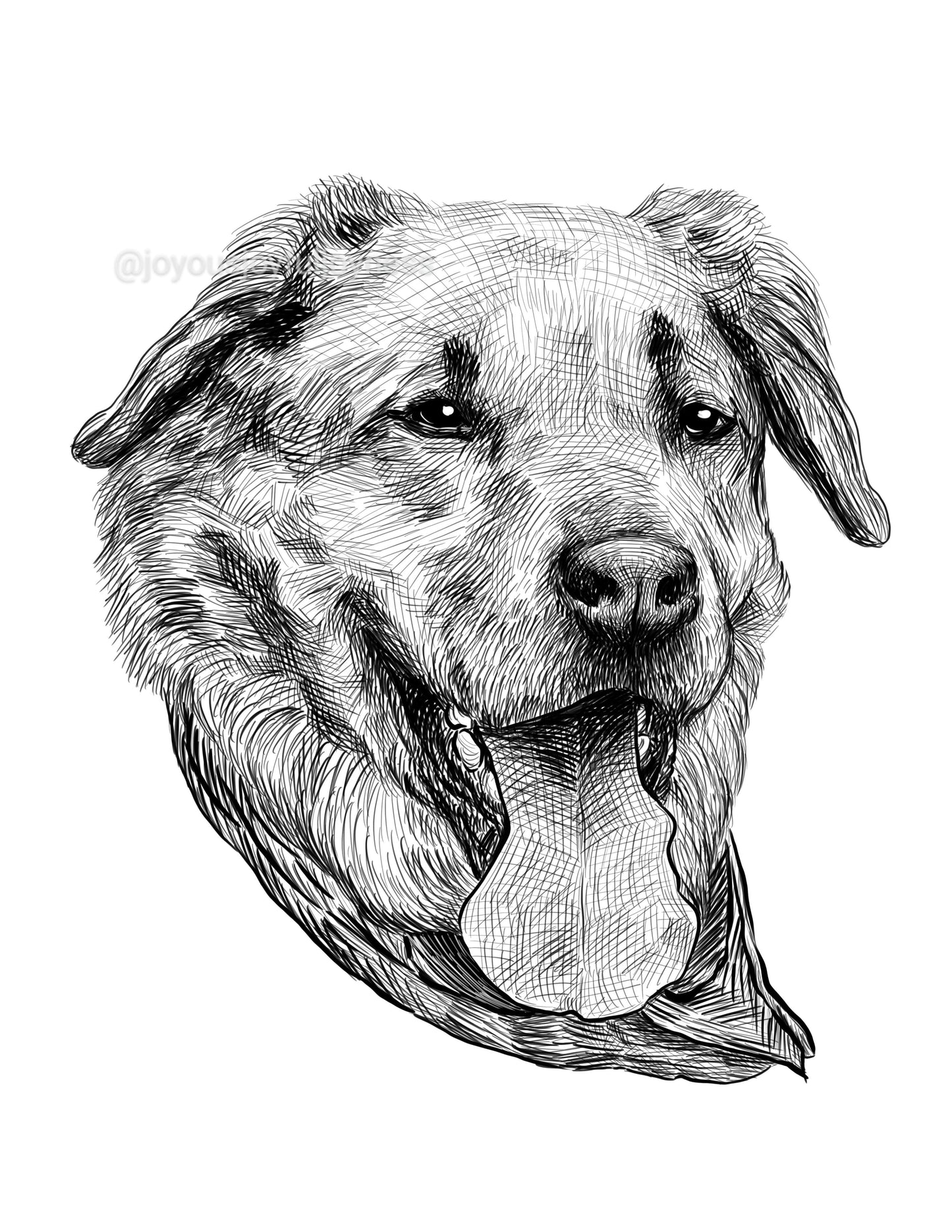 Portfolio: Max 2 (Not for sale) Posters, Prints, & Visual Artwork JoyousJoyfulJoyness