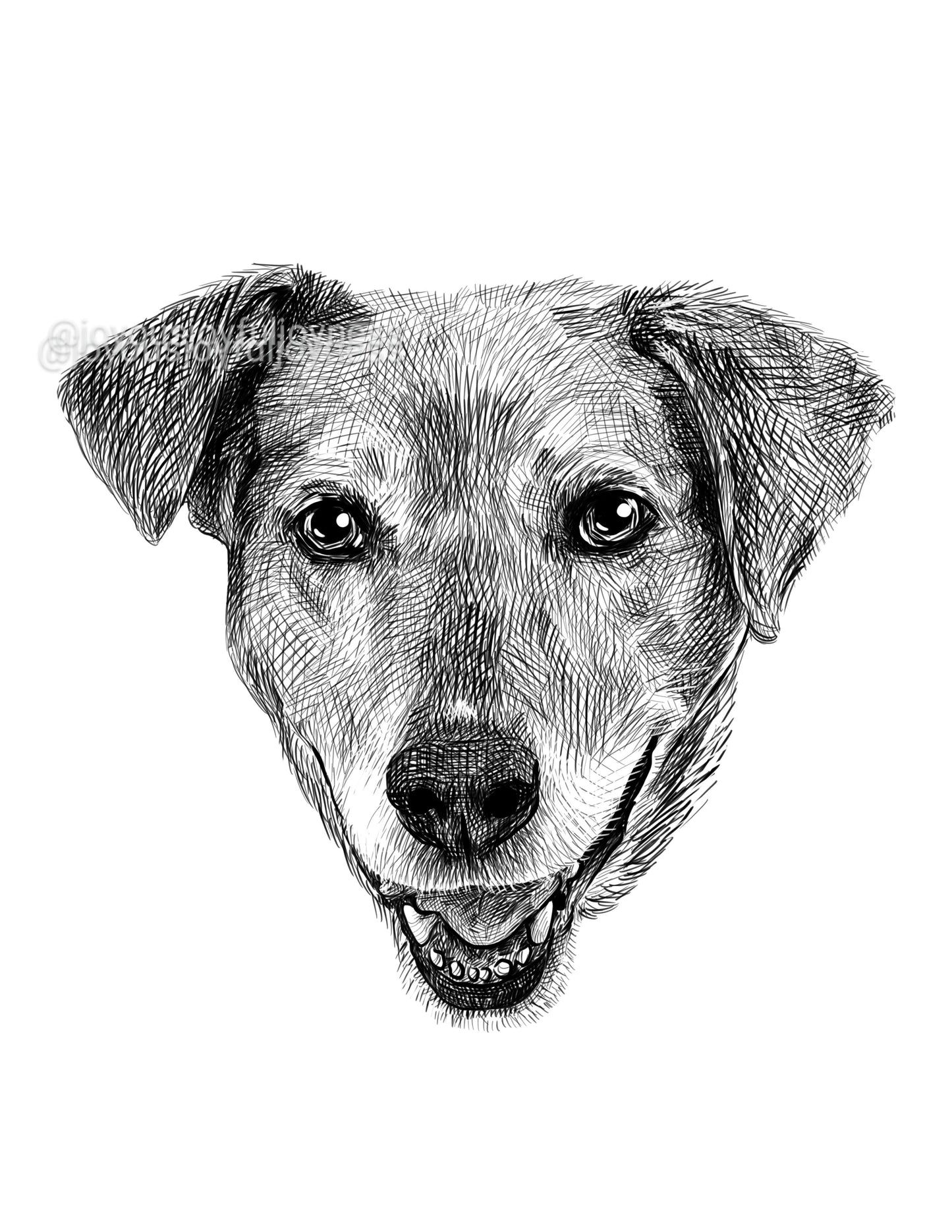 Portfolio: Coco (Not for sale) Posters, Prints, & Visual Artwork JoyousJoyfulJoyness