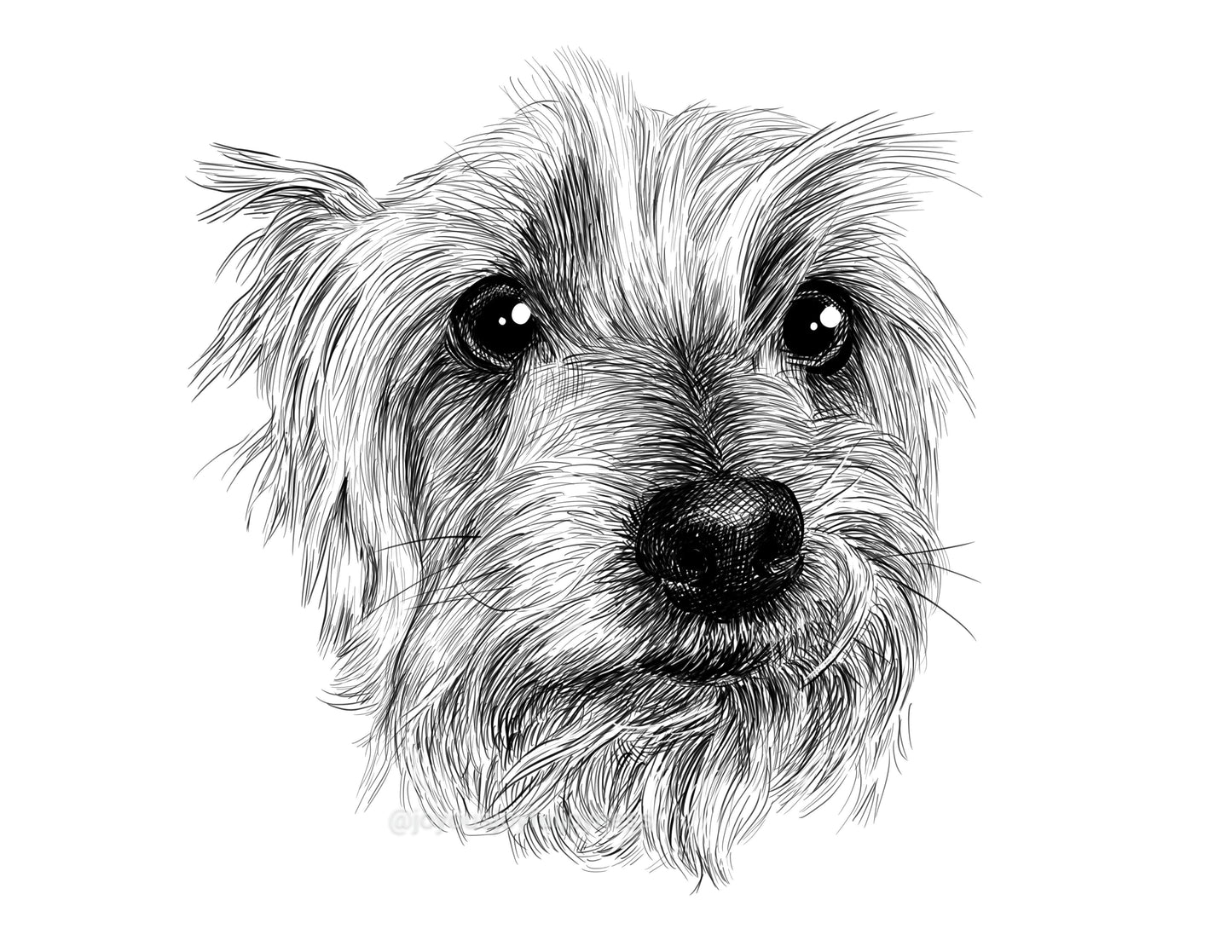 Portfolio: Cha Cha (Not for sale) Posters, Prints, & Visual Artwork JoyousJoyfulJoyness