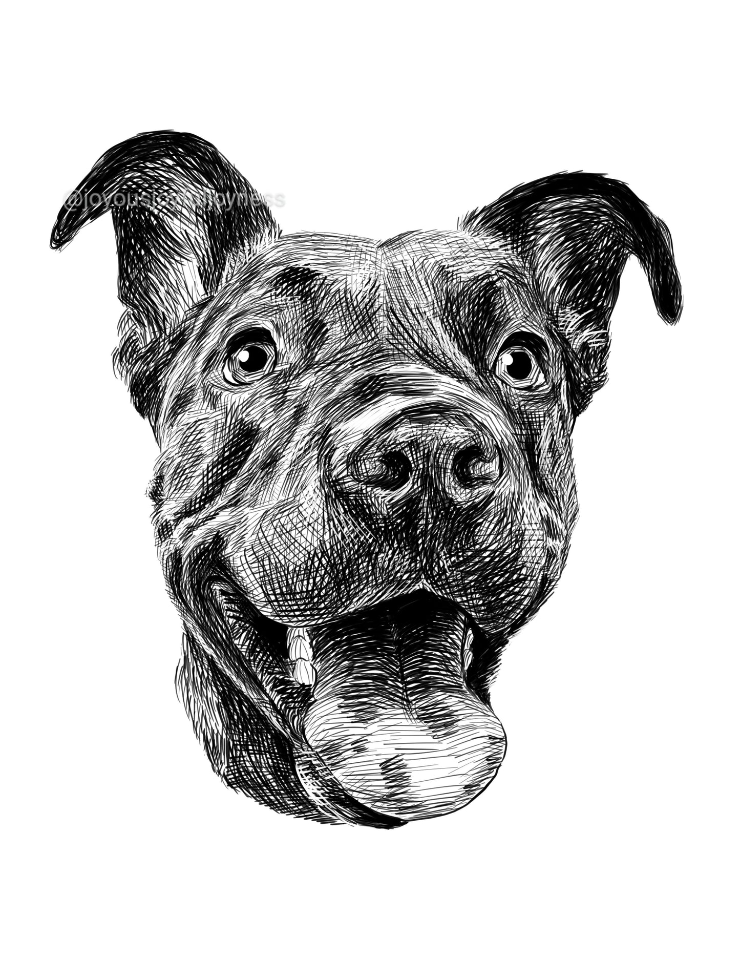 Portfolio: Harley (Not for sale) Posters, Prints, & Visual Artwork JoyousJoyfulJoyness