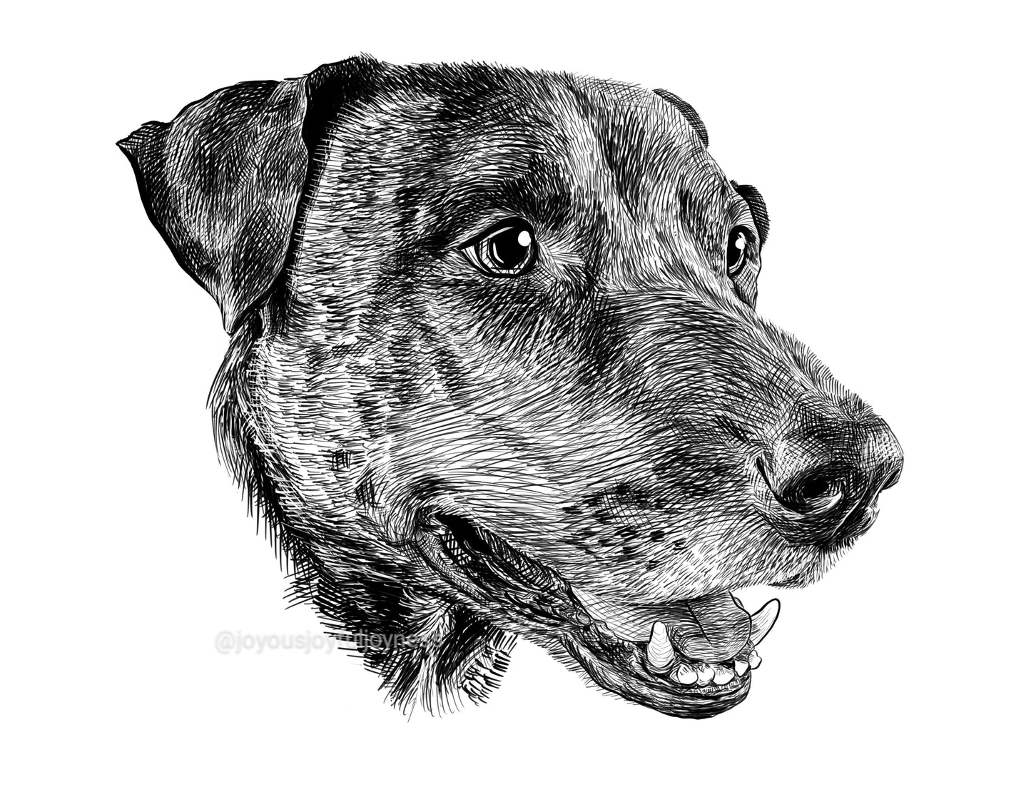 Portfolio: Chewbacca (Not for sale) Posters, Prints, & Visual Artwork JoyousJoyfulJoyness