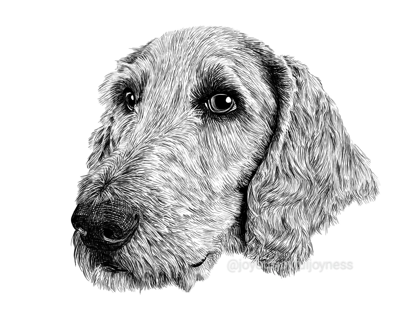 Portfolio: Ginger (Not for sale) Posters, Prints, & Visual Artwork JoyousJoyfulJoyness