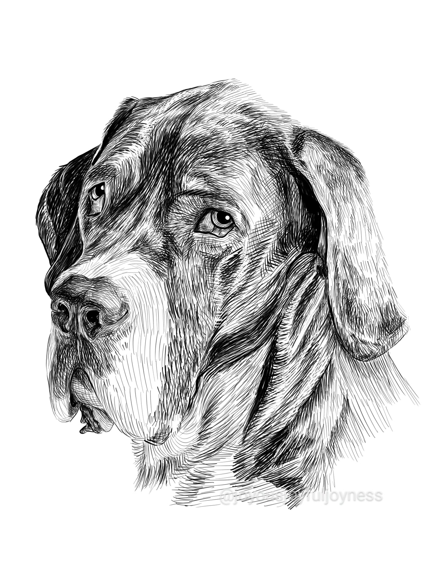 Portfolio: Penny (Not for sale) Posters, Prints, & Visual Artwork JoyousJoyfulJoyness