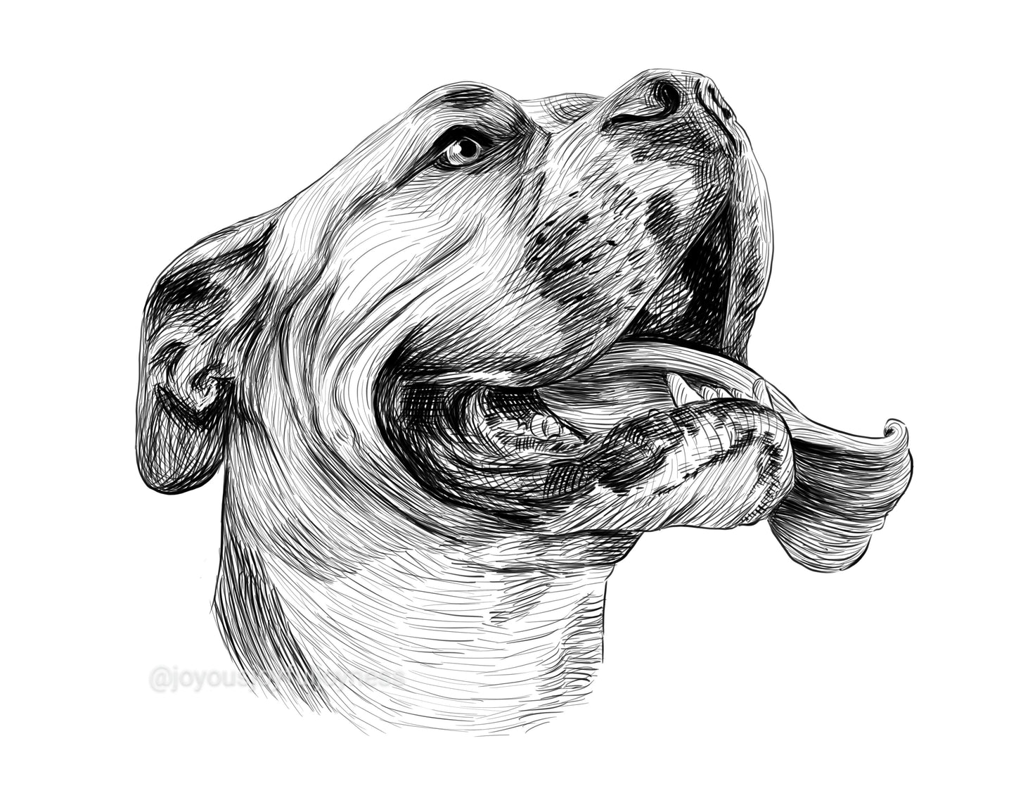 Portfolio: Logan (Not for sale) Posters, Prints, & Visual Artwork JoyousJoyfulJoyness