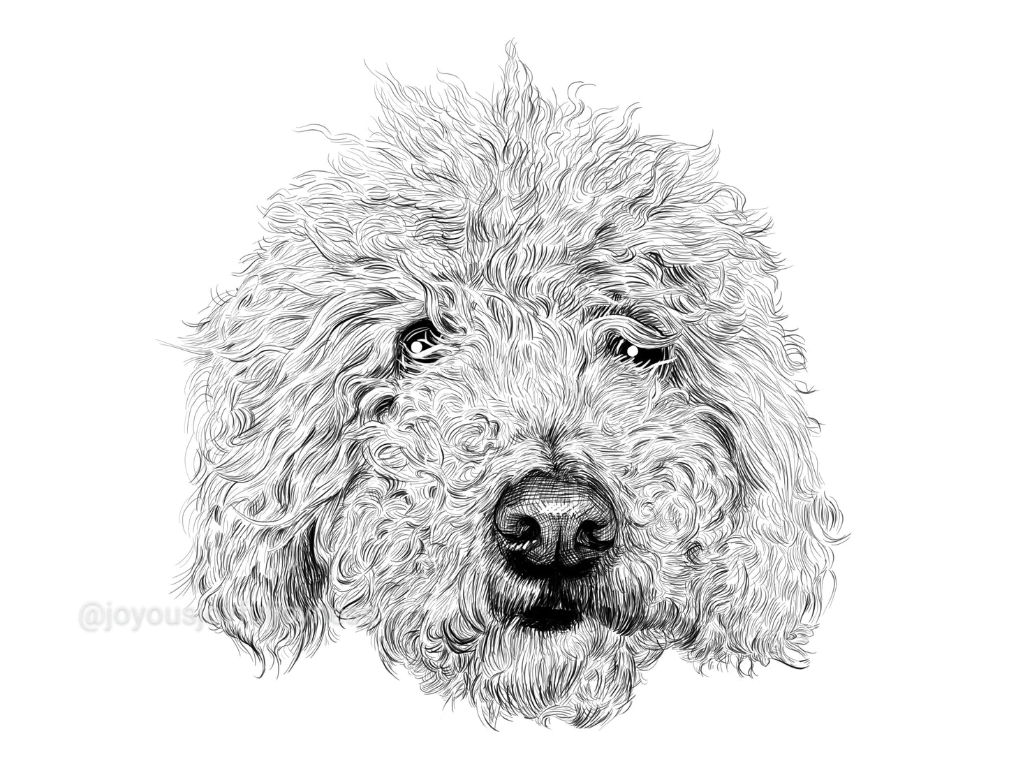 Portfolio: Daisy (Not for sale) Posters, Prints, & Visual Artwork JoyousJoyfulJoyness