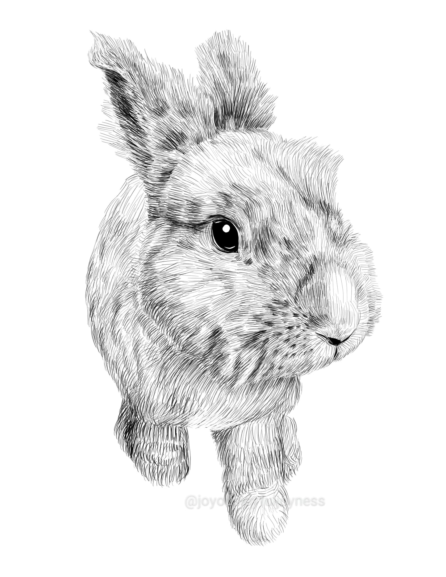 Portfolio: Sam (Not for sale) Posters, Prints, & Visual Artwork JoyousJoyfulJoyness