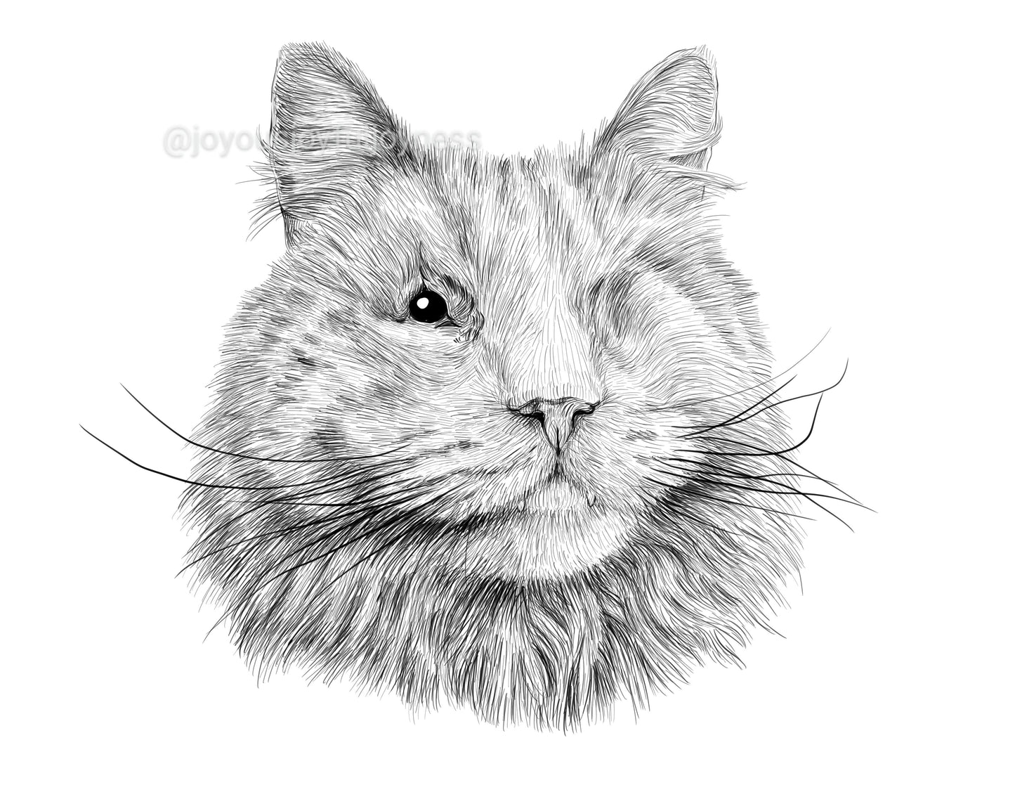 Portfolio: Ziggy (Not for sale) Posters, Prints, & Visual Artwork JoyousJoyfulJoyness