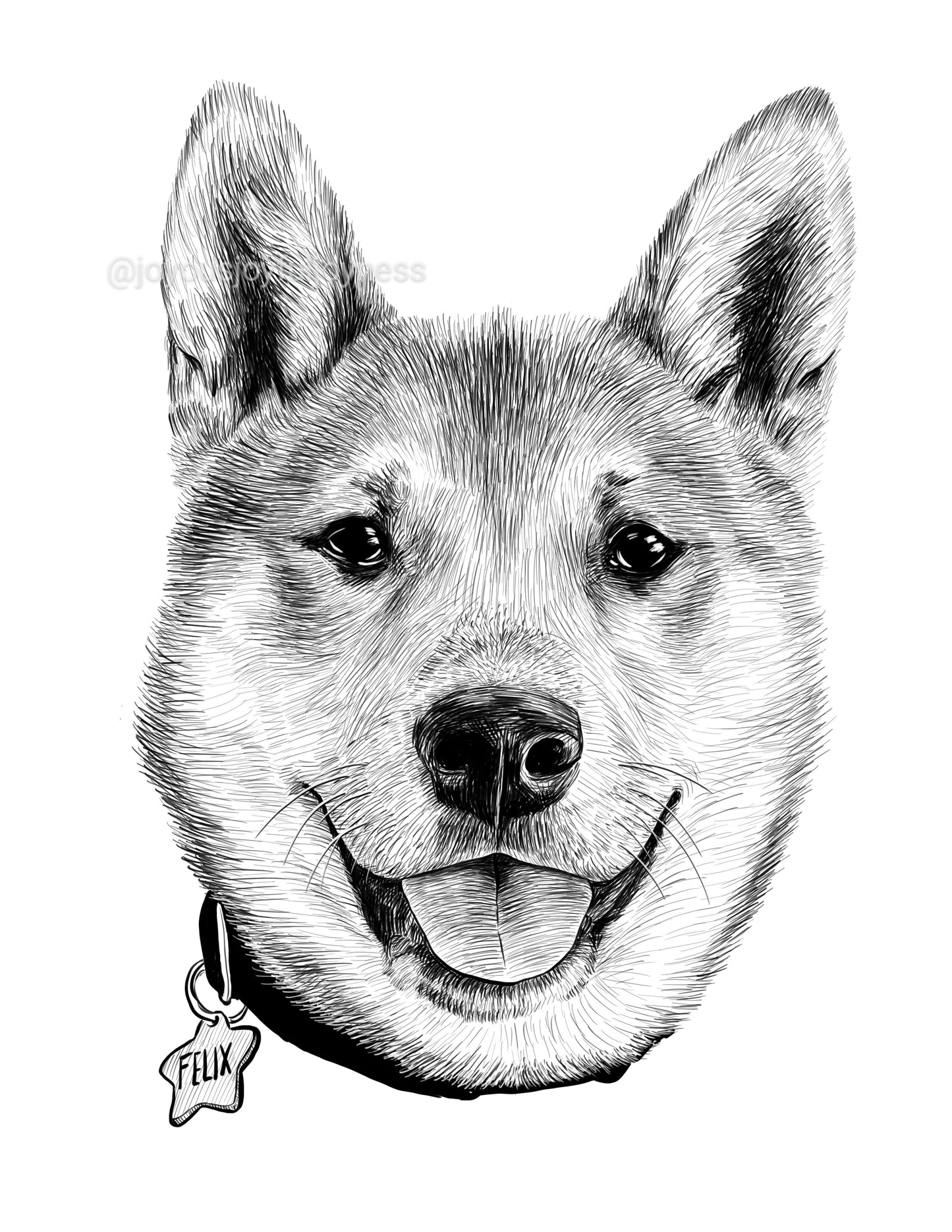 Portfolio: Felix (Not for sale) Posters, Prints, & Visual Artwork JoyousJoyfulJoyness