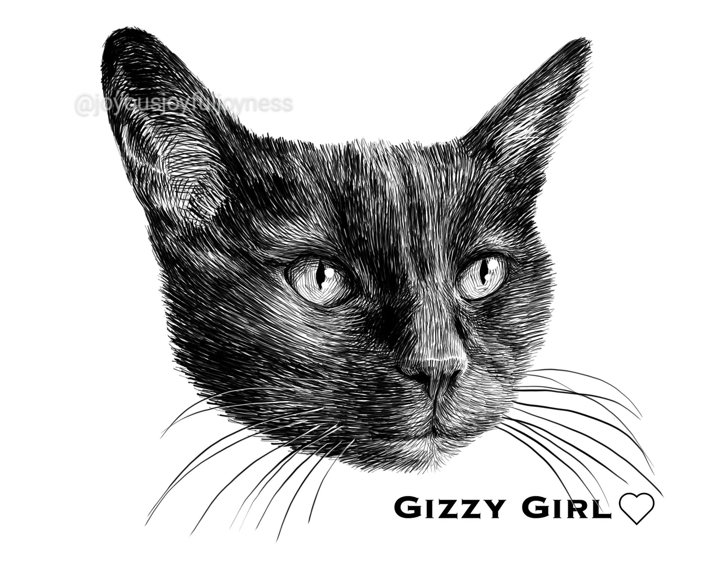 Portfolio: Gizmo (Not for sale) Posters, Prints, & Visual Artwork JoyousJoyfulJoyness