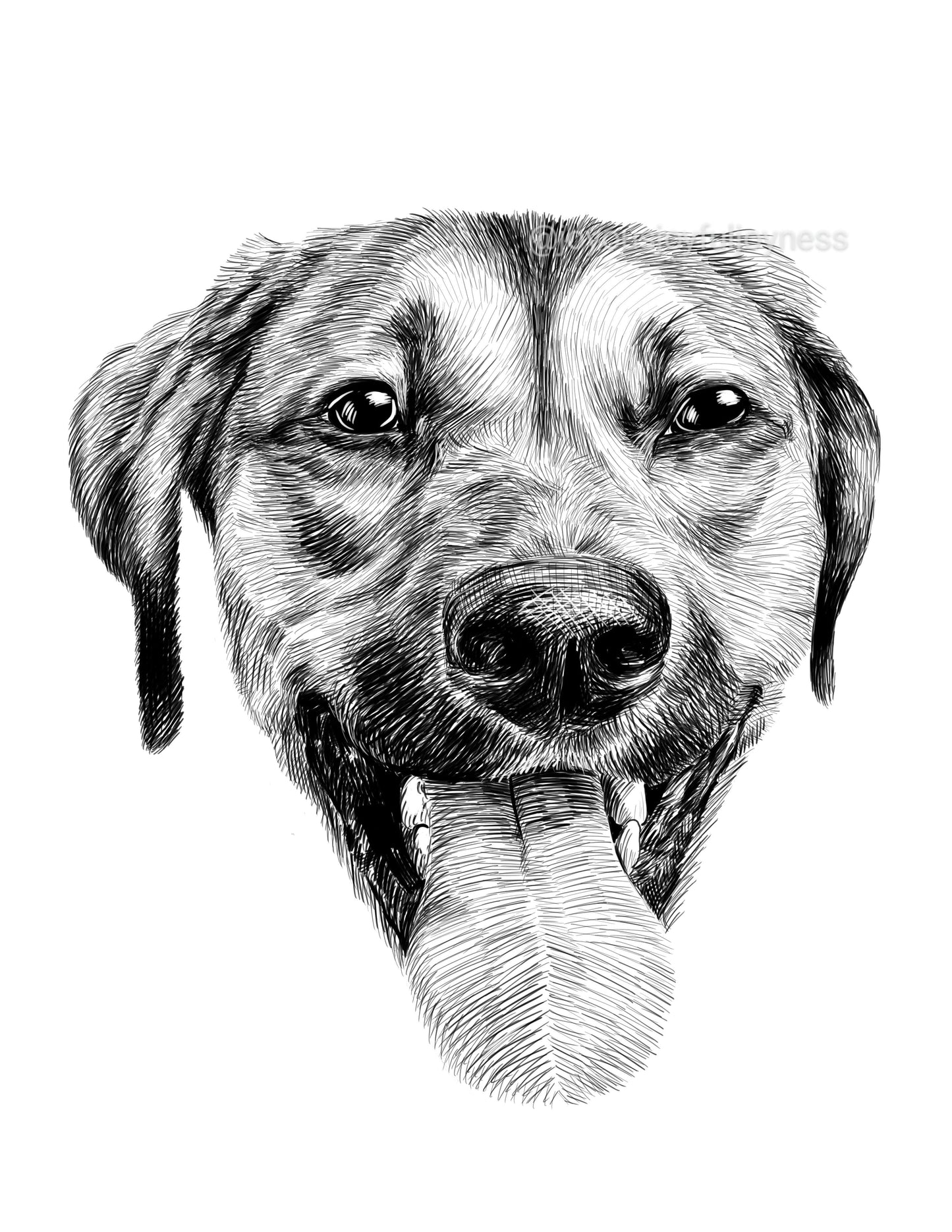 Portfolio: Sawyer (Not for sale) Posters, Prints, & Visual Artwork JoyousJoyfulJoyness