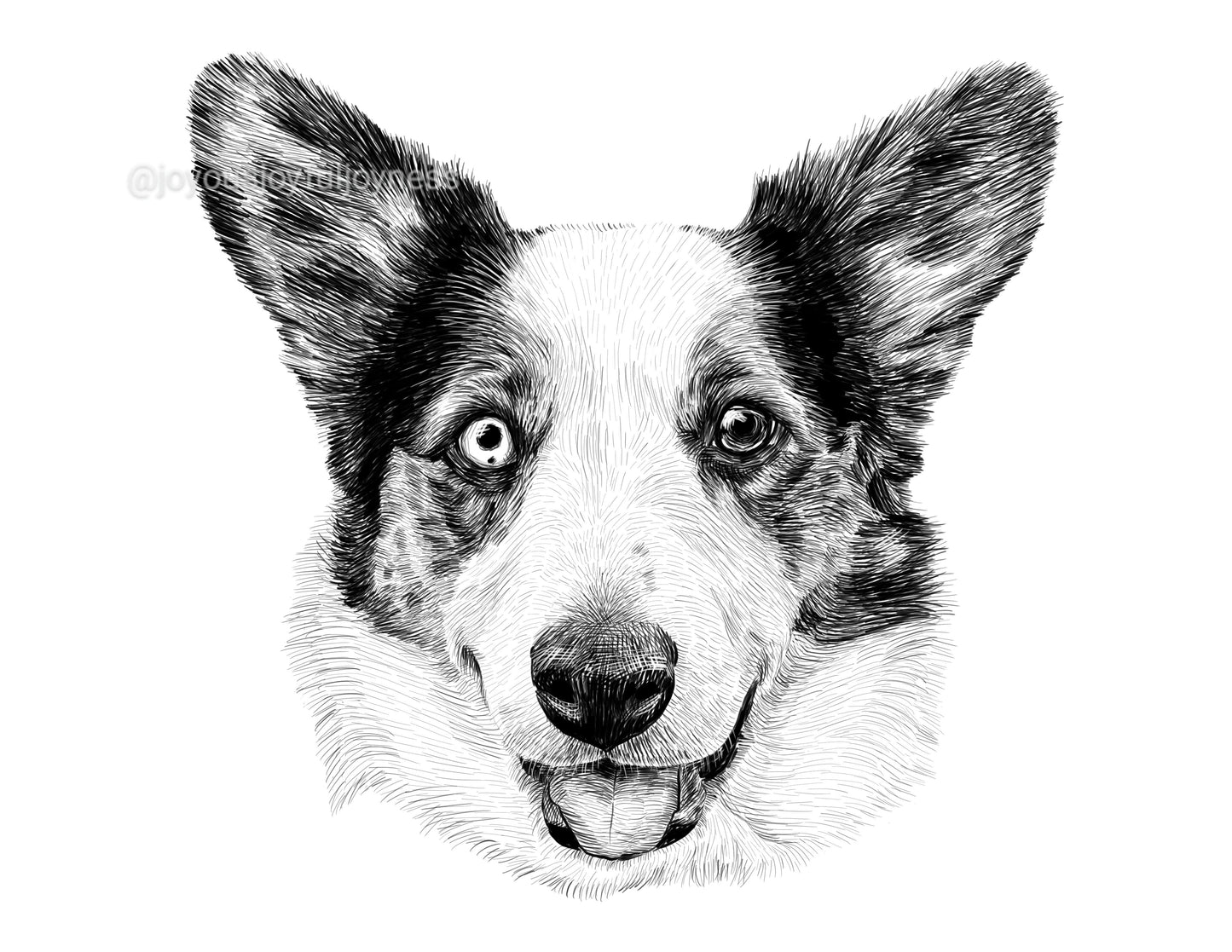 Portfolio: Paisley (Not for sale) Posters, Prints, & Visual Artwork JoyousJoyfulJoyness