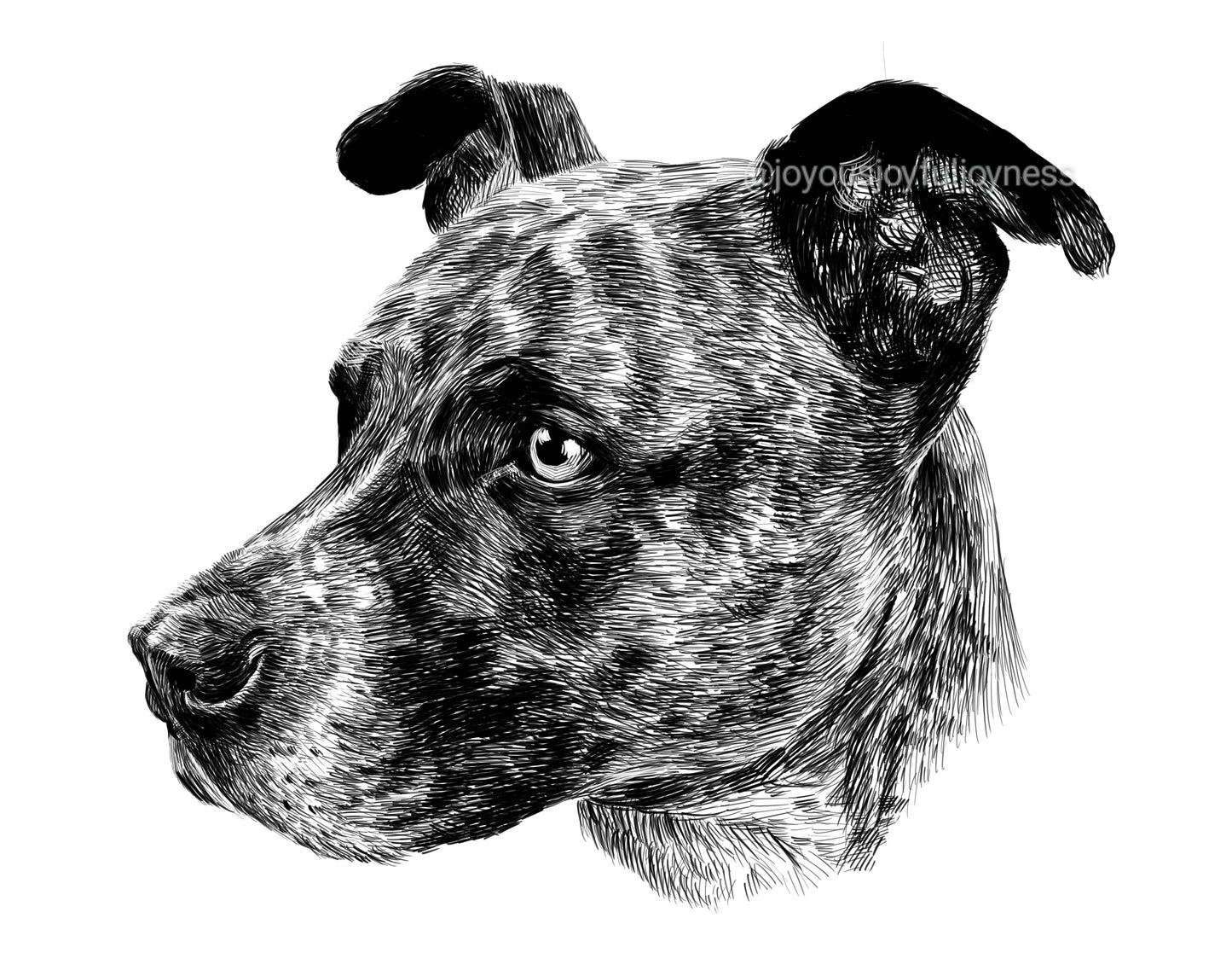 Portfolio: Seirra (Not for sale) Posters, Prints, & Visual Artwork JoyousJoyfulJoyness