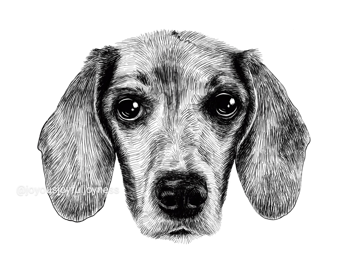 Portfolio: Nala (Beagle) (Not for sale) Posters, Prints, & Visual Artwork JoyousJoyfulJoyness