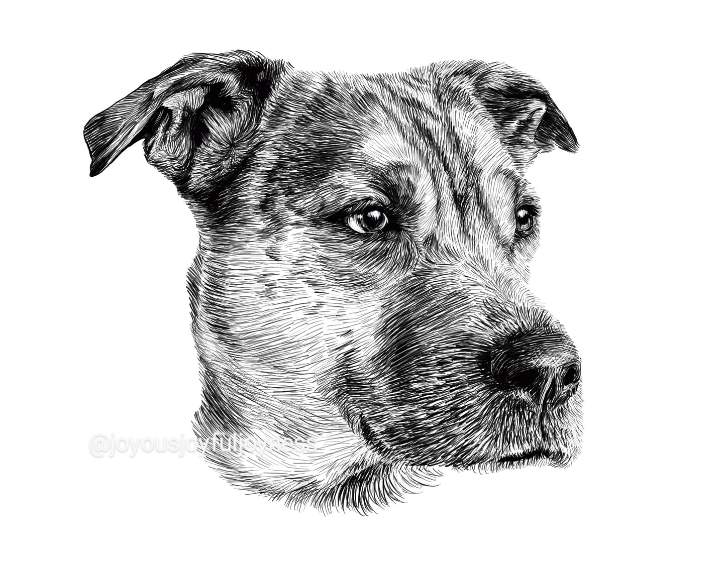 Portfolio: Biga (Not for sale) Posters, Prints, & Visual Artwork JoyousJoyfulJoyness