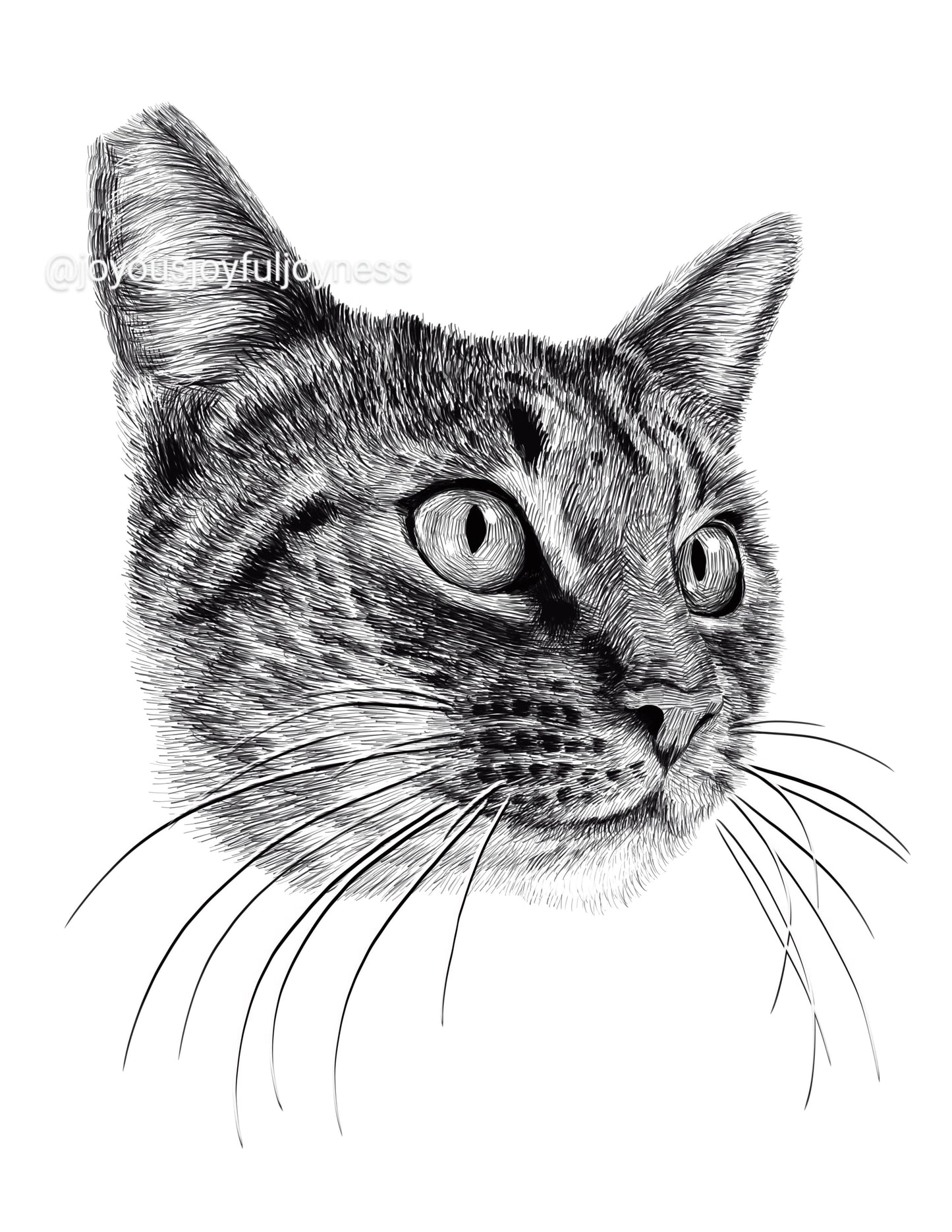 Portfolio: Doris (Not for sale) Posters, Prints, & Visual Artwork JoyousJoyfulJoyness