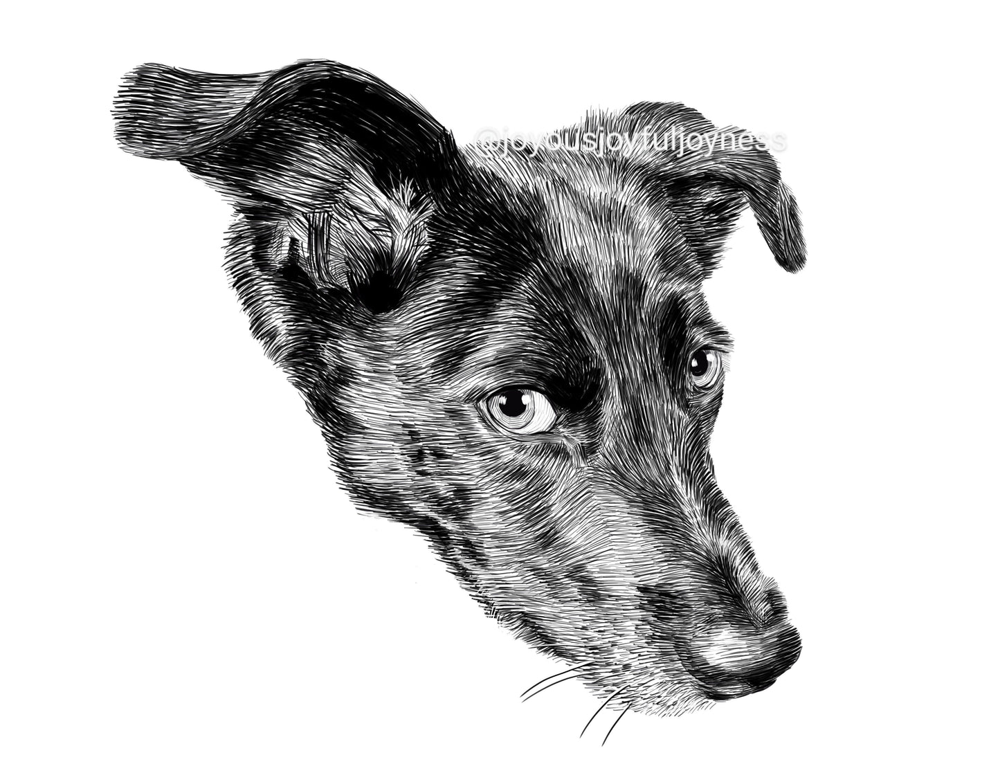 Portfolio: Mira (Not for sale) Posters, Prints, & Visual Artwork JoyousJoyfulJoyness