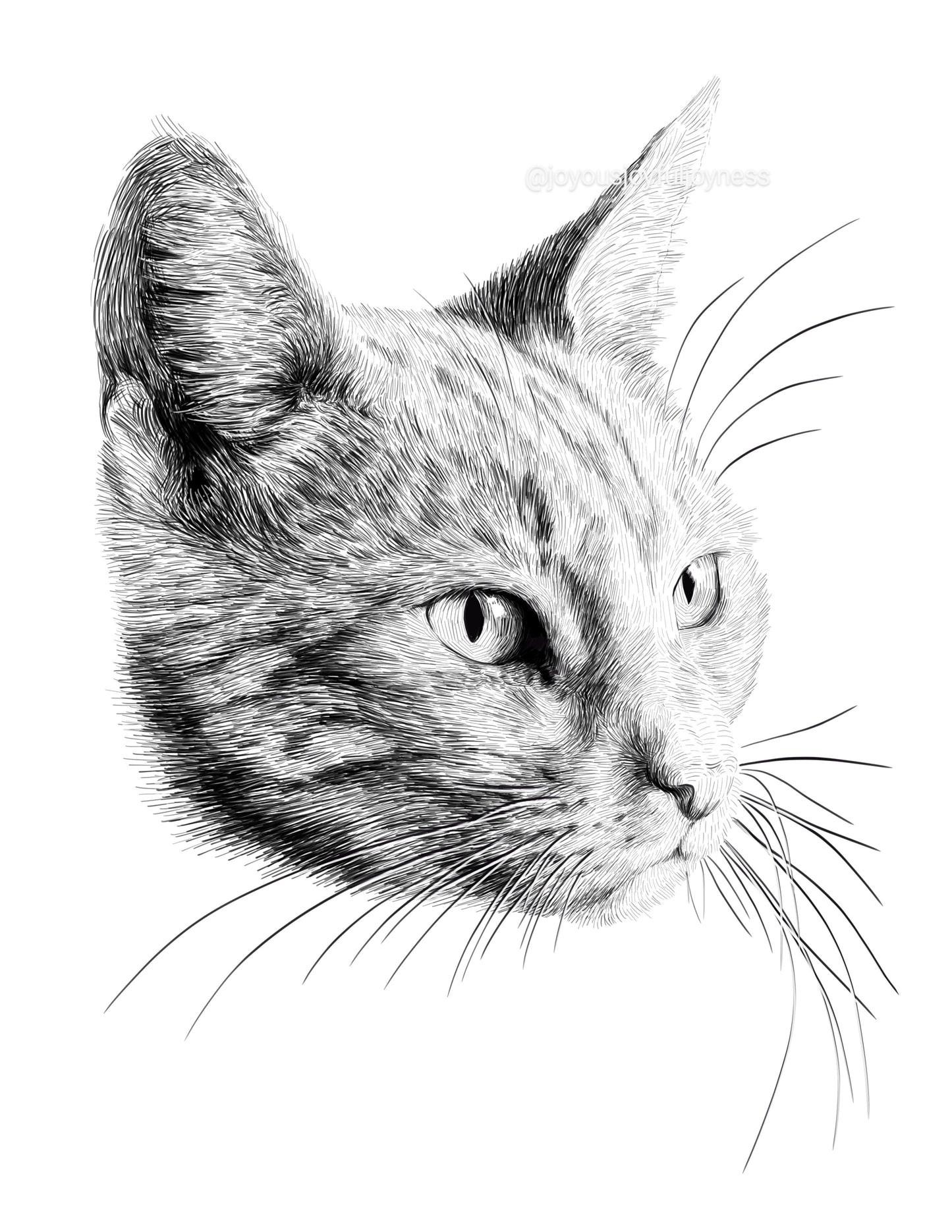 Portfolio: Edge (Not for sale) Posters, Prints, & Visual Artwork JoyousJoyfulJoyness