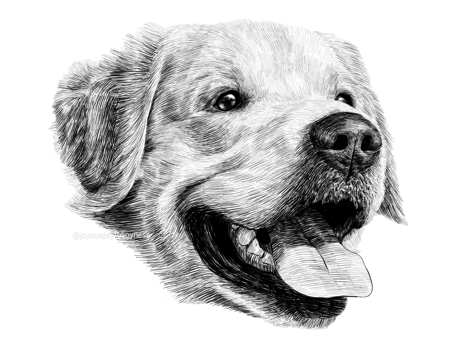 Portfolio: Hudson (Not for sale) Posters, Prints, & Visual Artwork JoyousJoyfulJoyness