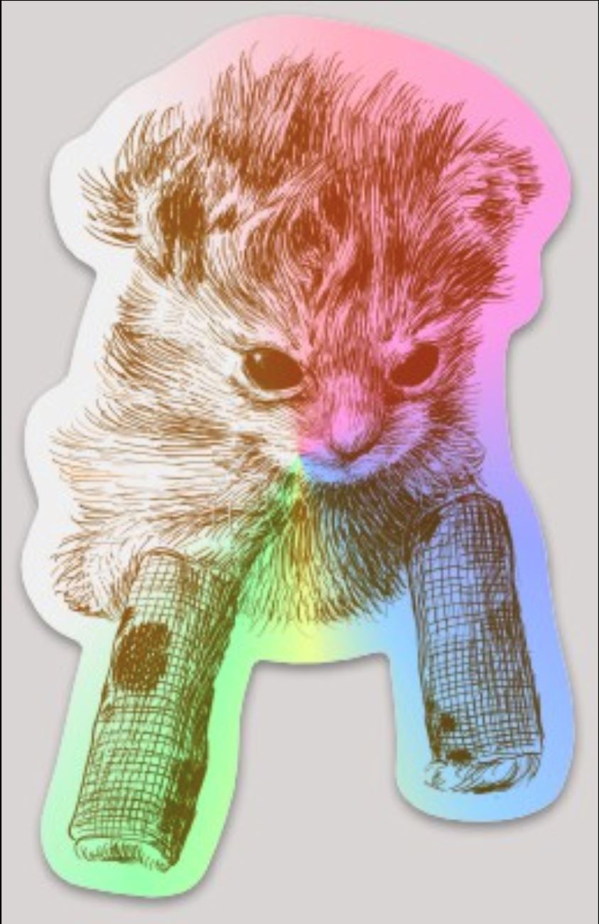Tater Tot and his Bonkers Holographic Sticker ($1 donated to Kitty CrusAIDe per sticker sold) Decorative Stickers JoyousJoyfulJoyness