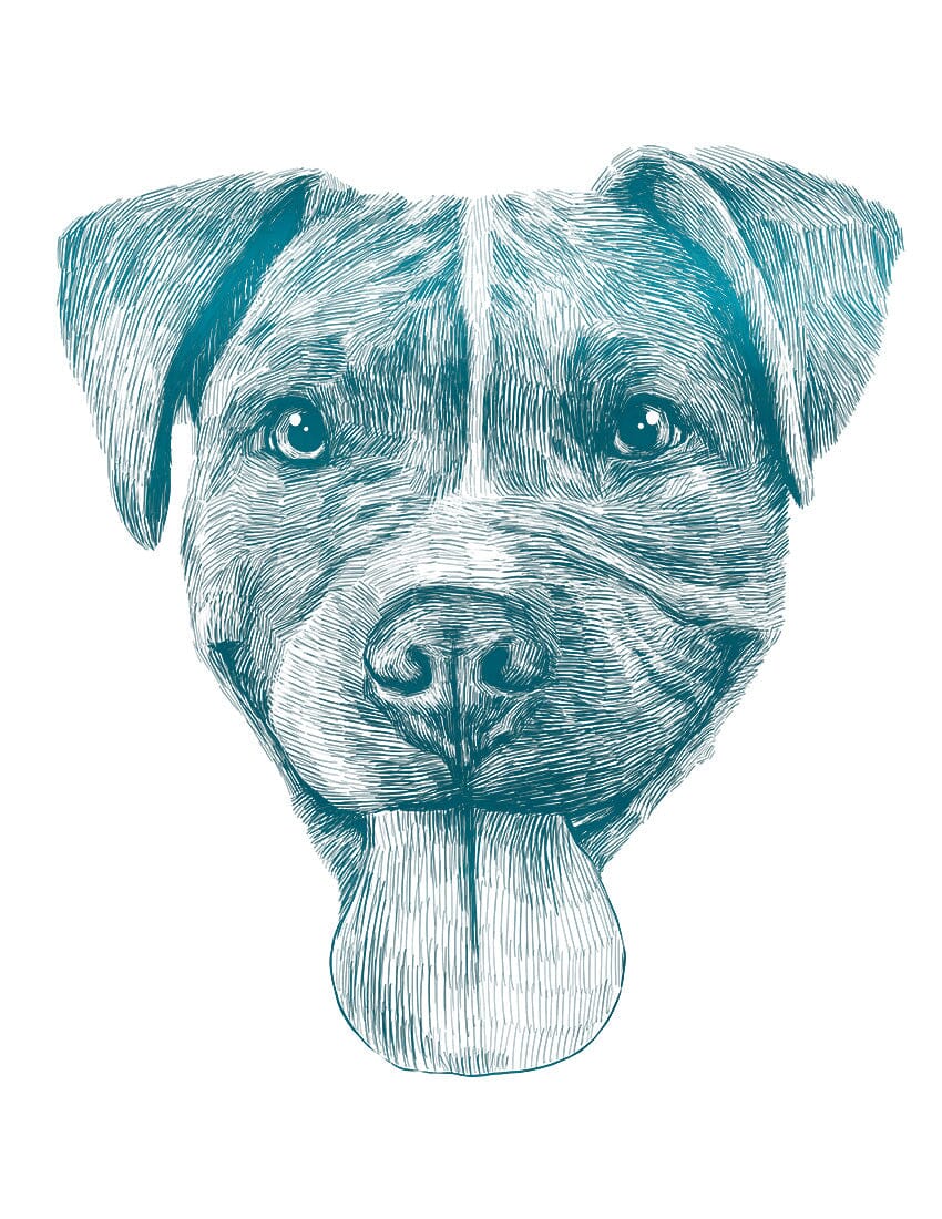 How Much Does A Custom Pet Portrait Drawing Cost?