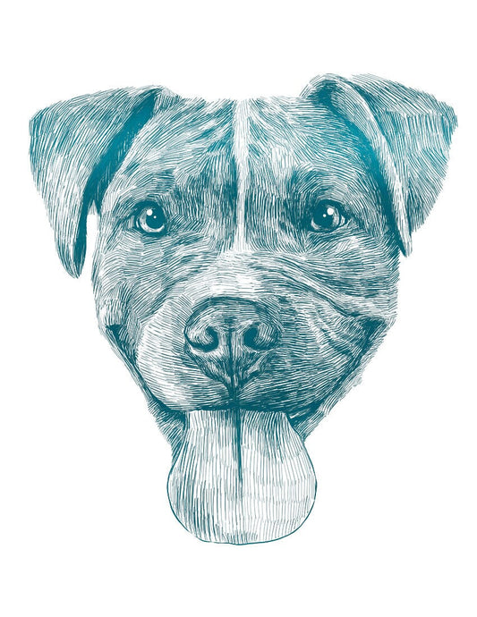How Much Does A Custom Pet Portrait Drawing Cost?