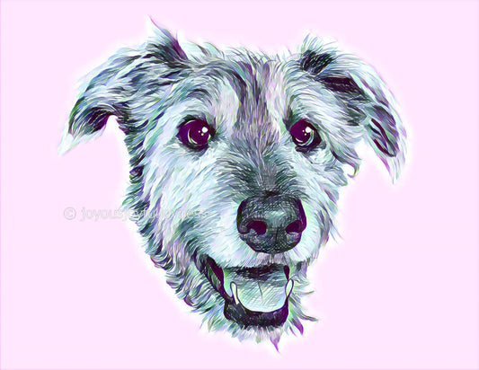 13 Signs That Your Dog Is Happy