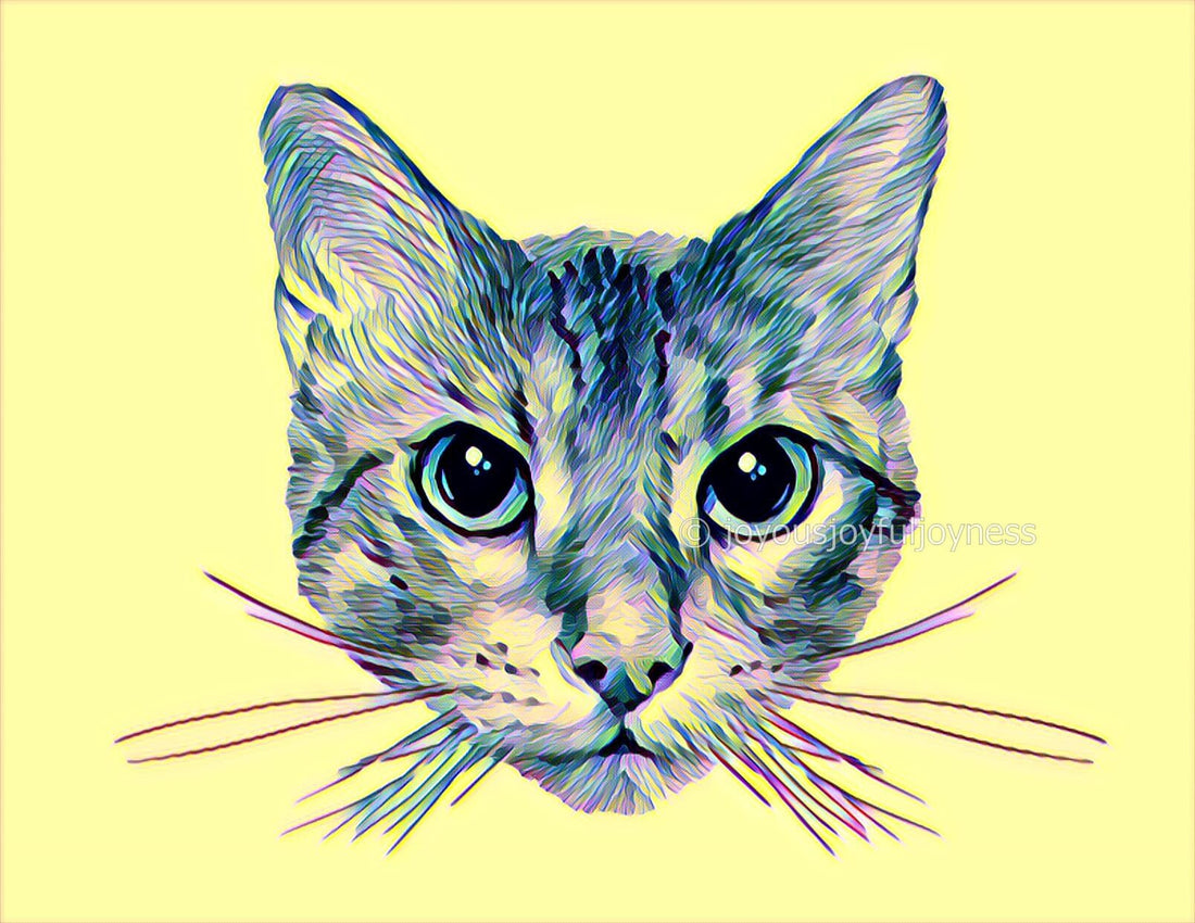 12 Things You Need To Know Before Getting A Cat