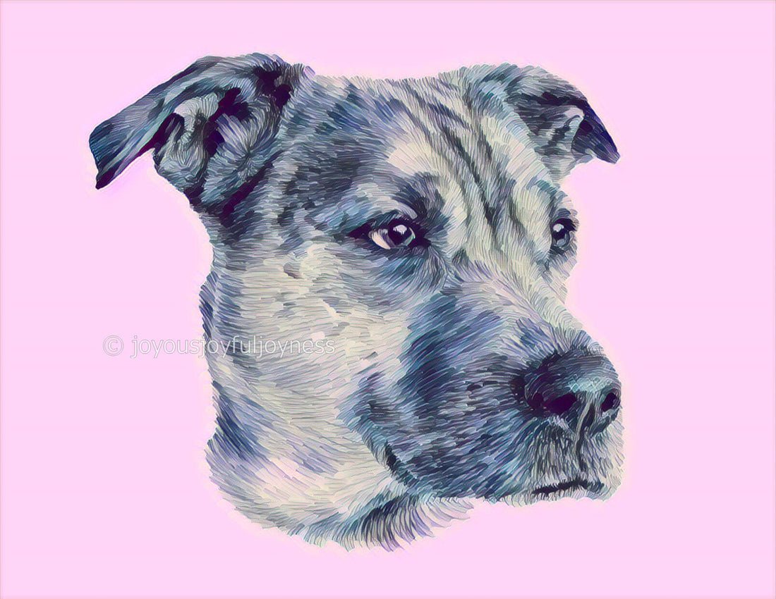 Should I Use Positive Reinforcement Pet Training?