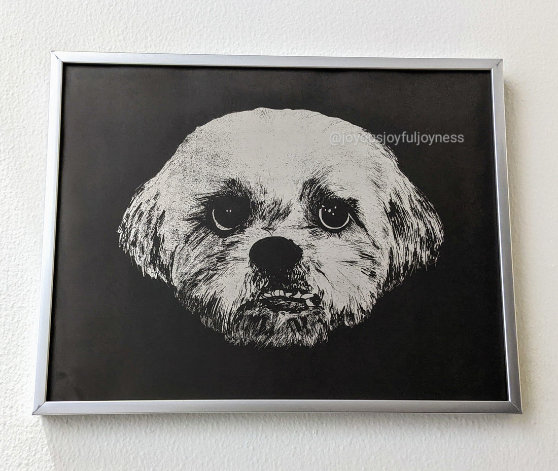 Top 9 Gifts For Dog Lovers
