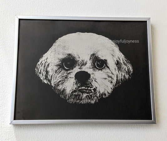 Top 9 Gifts For Dog Lovers