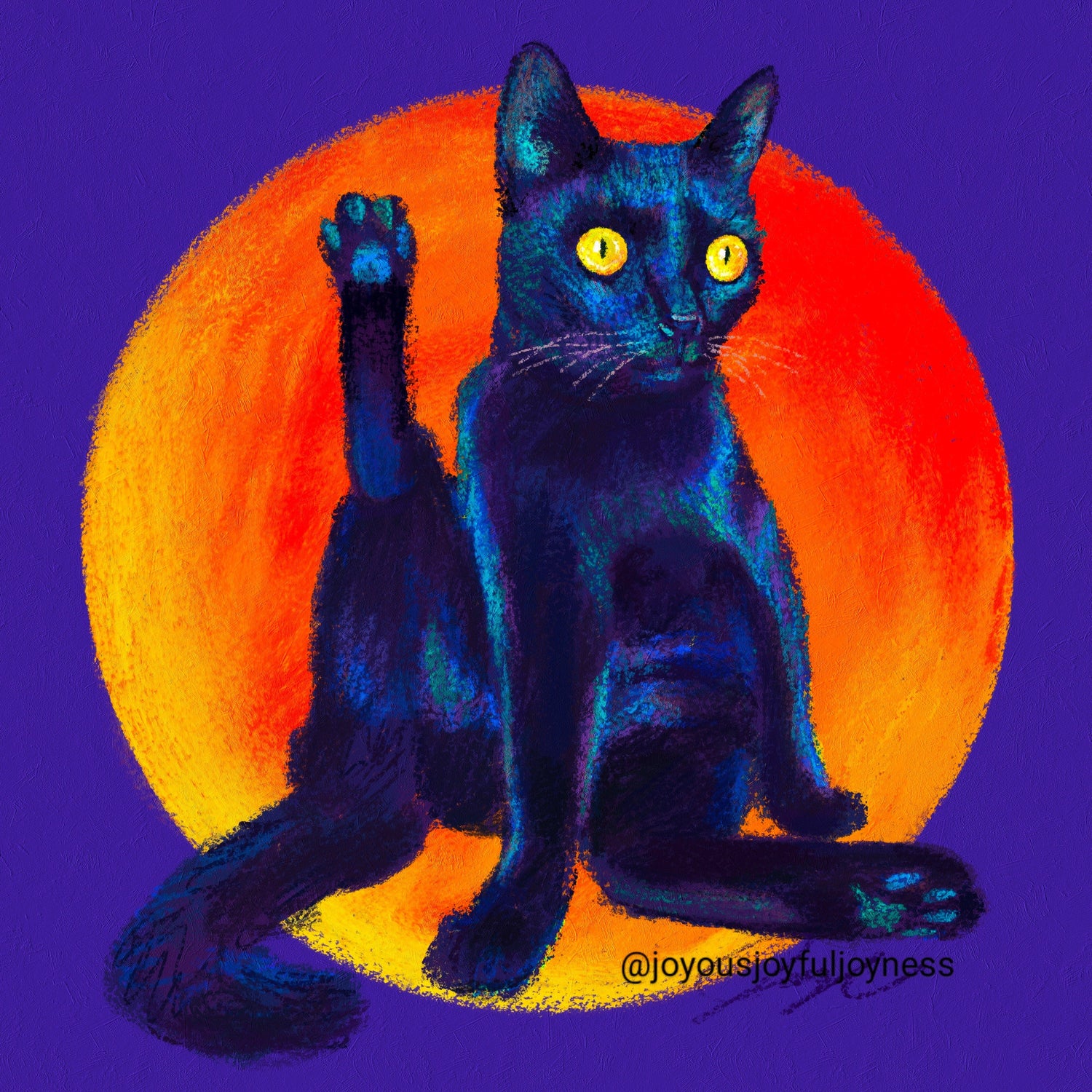 Feline Flows and Poses Collection