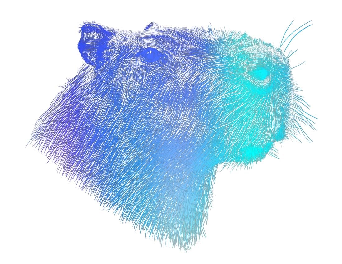 Capybara Art